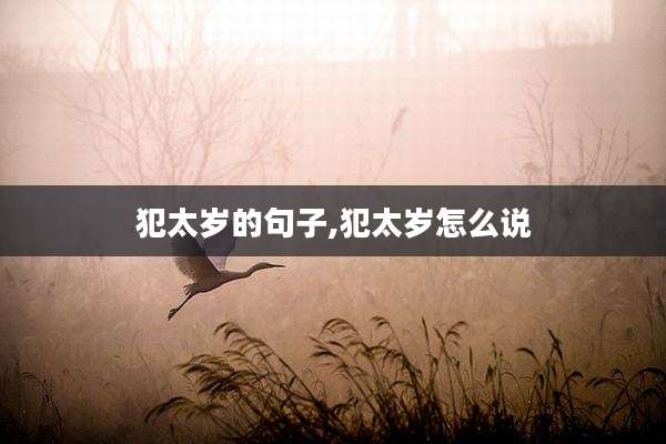 犯太岁的句子,犯太岁怎么说