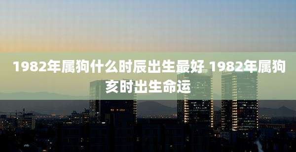 1982年属狗什么时辰出生最好 1982年属狗亥时出生命运