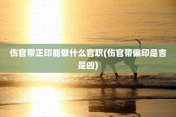 伤官带正印能做什么官职(伤官带偏印是吉是凶)