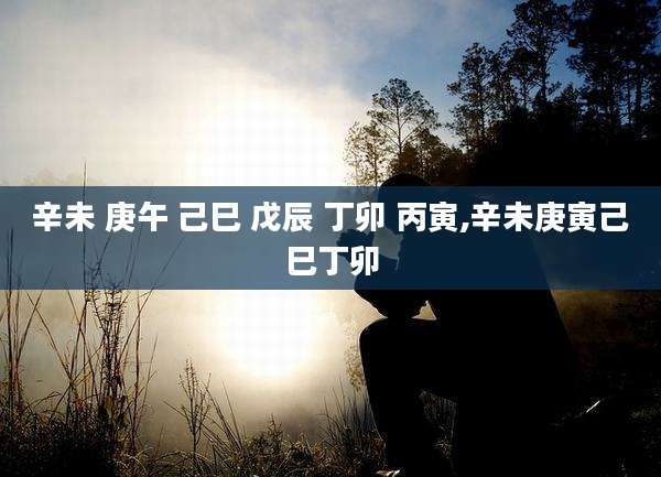 辛未 庚午 己巳 戊辰 丁卯 丙寅,辛未庚寅己巳丁卯