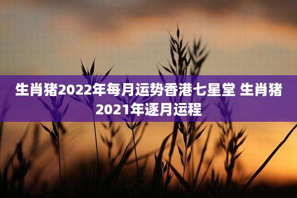 生肖猪2022年每月运势香港七星堂 生肖猪2021年逐月运程