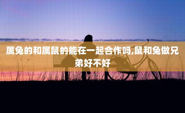 属兔的和属鼠的能在一起合作吗,鼠和兔做兄弟好不好