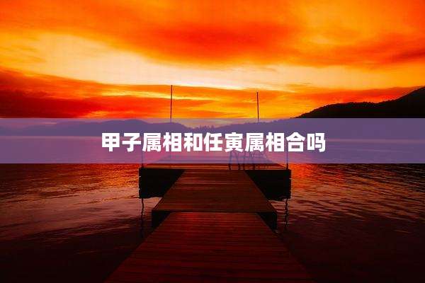 甲子属相和任寅属相合吗
