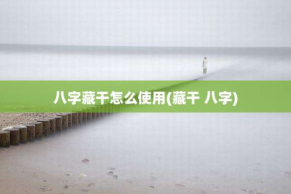 八字藏干怎么使用(藏干 八字)