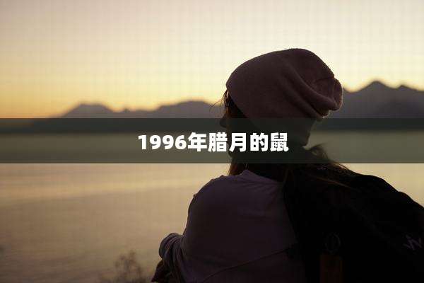 1996年腊月的鼠