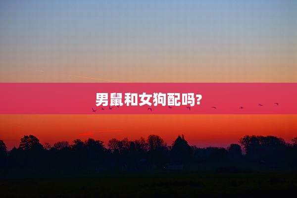 男鼠和女狗配吗?