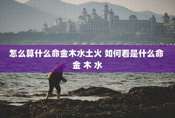 怎么算什么命金木水土火 如何看是什么命 金 木 水
