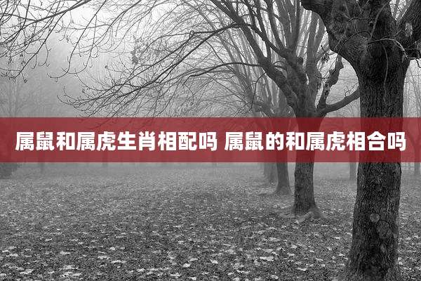 属鼠和属虎生肖相配吗 属鼠的和属虎相合吗