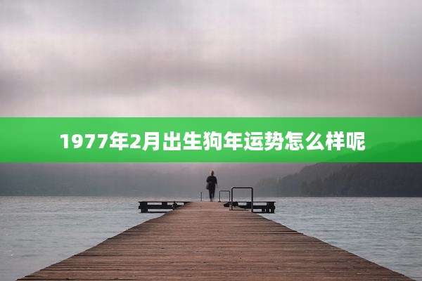 1977年2月出生狗年运势怎么样呢
