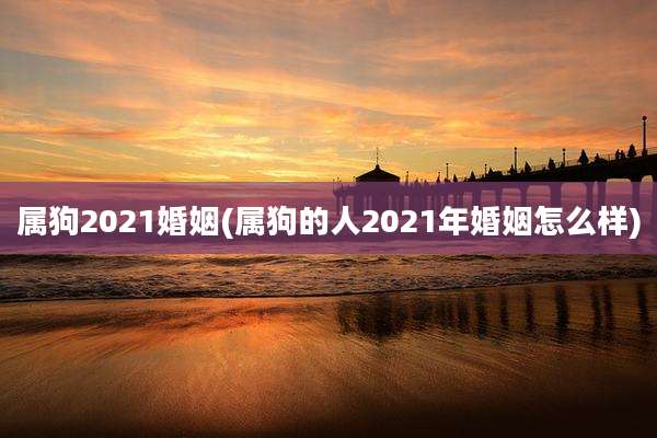 属狗2021婚姻(属狗的人2021年婚姻怎么样)