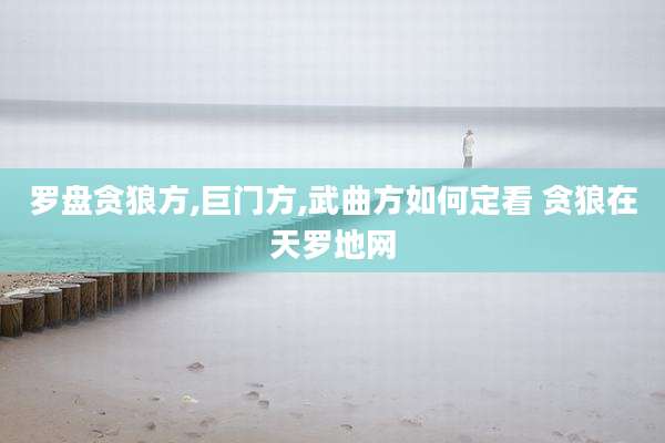 罗盘贪狼方,巨门方,武曲方如何定看 贪狼在天罗地网