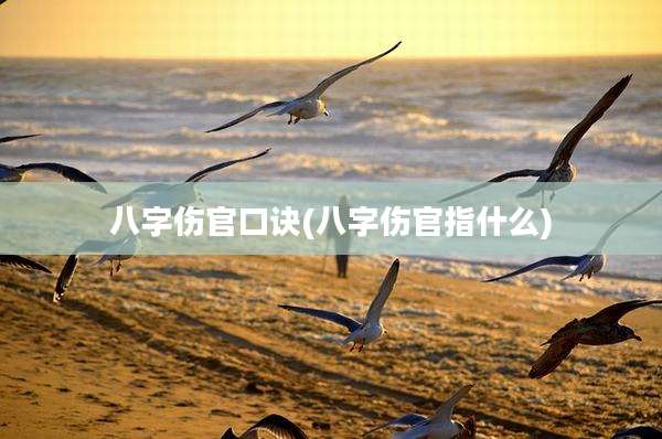 八字伤官口诀(八字伤官指什么)