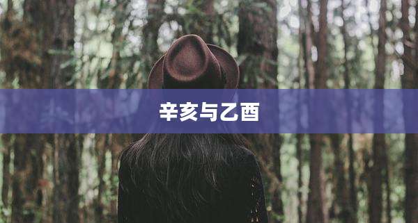 辛亥与乙酉