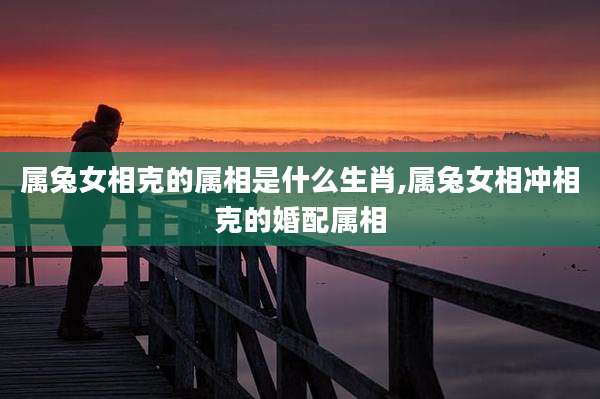 属兔女相克的属相是什么生肖,属兔女相冲相克的婚配属相