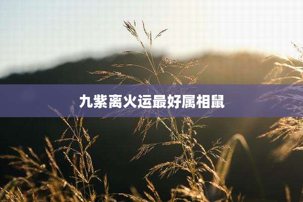 九紫离火运最好属相鼠
