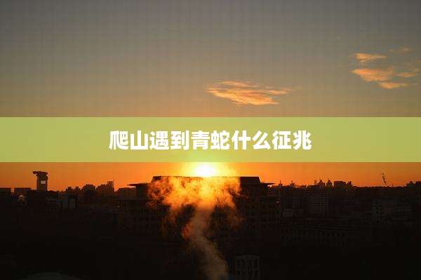爬山遇到青蛇什么征兆