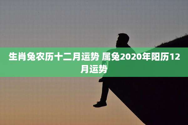 生肖兔农历十二月运势 属兔2020年阳历12月运势