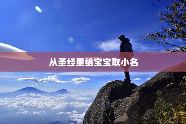 从圣经里给宝宝取小名