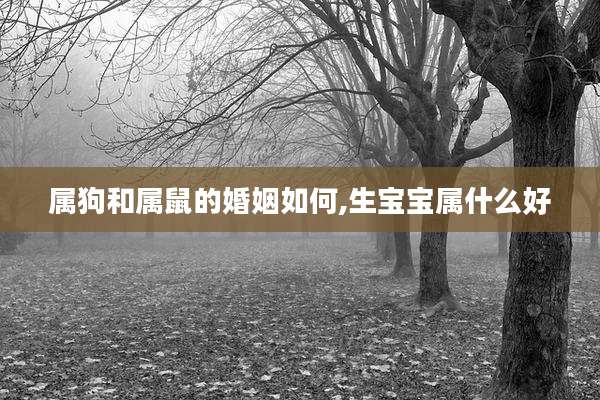 属狗和属鼠的婚姻如何,生宝宝属什么好