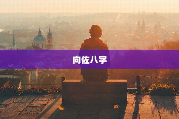 向佐八字