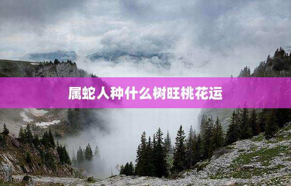 属蛇人种什么树旺桃花运