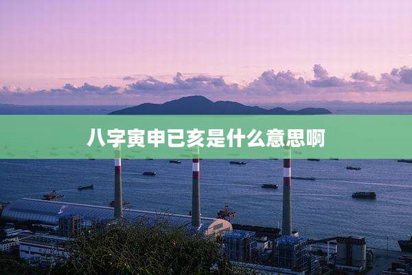八字寅申已亥是什么意思啊