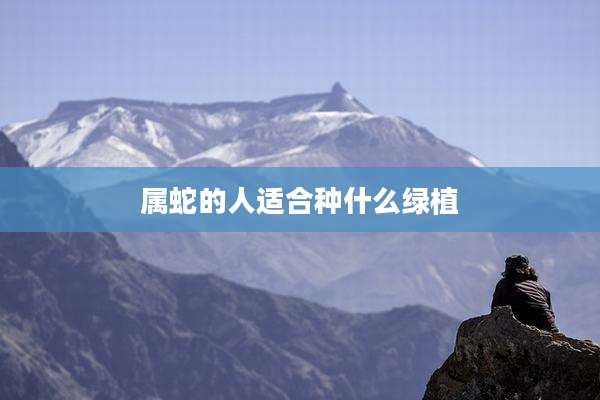属蛇的人适合种什么绿植