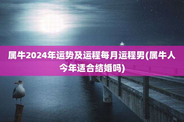 属牛2024年运势及运程每月运程男(属牛人今年适合结婚吗)