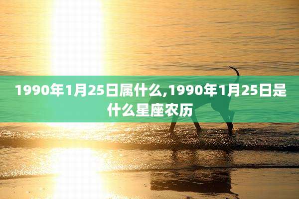 1990年1月25日属什么,1990年1月25日是什么星座农历