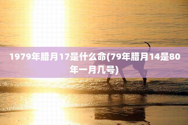 1979年腊月17是什么命(79年腊月14是80年一月几号)