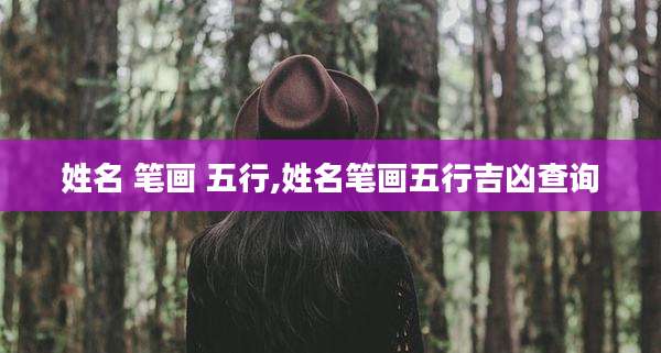 姓名 笔画 五行,姓名笔画五行吉凶查询