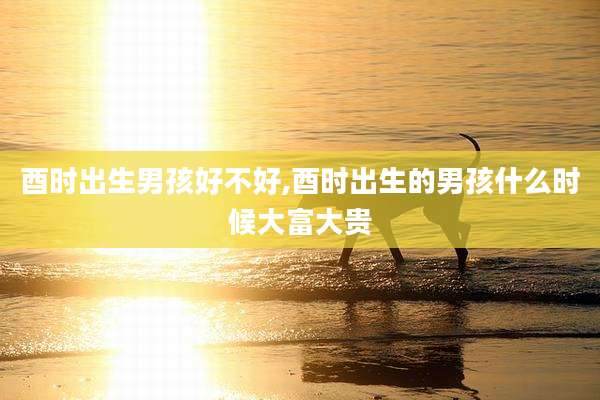 酉时出生男孩好不好,酉时出生的男孩什么时候大富大贵