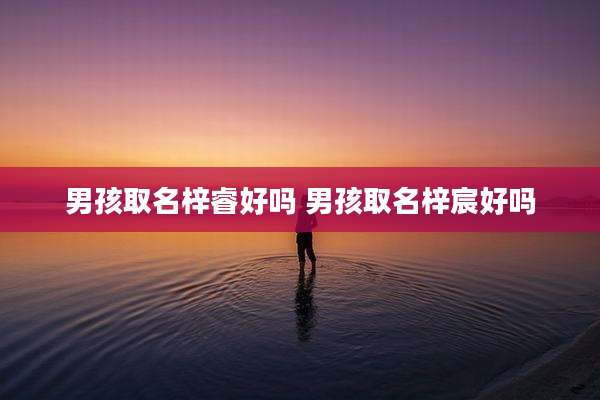 男孩取名梓睿好吗 男孩取名梓宸好吗