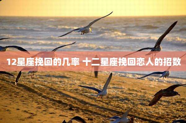 12星座挽回的几率 十二星座挽回恋人的招数