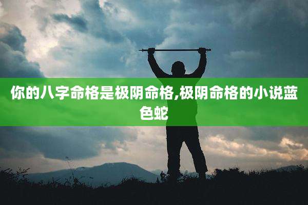 你的八字命格是极阴命格,极阴命格的小说蓝色蛇