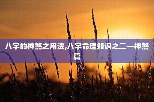 八字的神煞之用法,八字命理知识之二—神煞篇