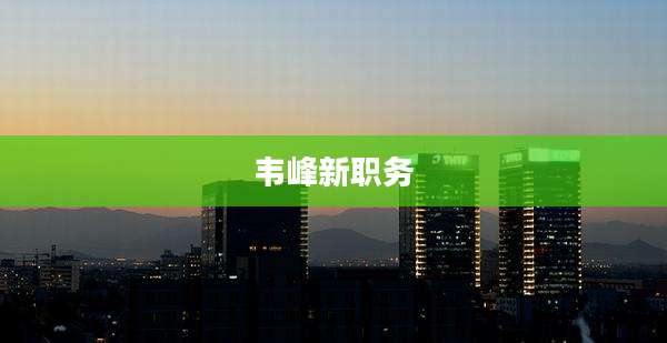 韦峰新职务