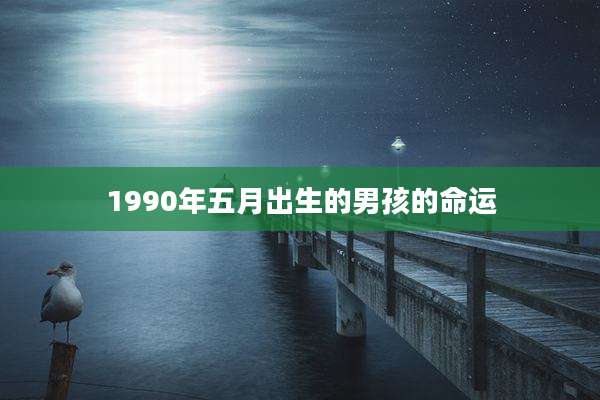 1990年五月出生的男孩的命运