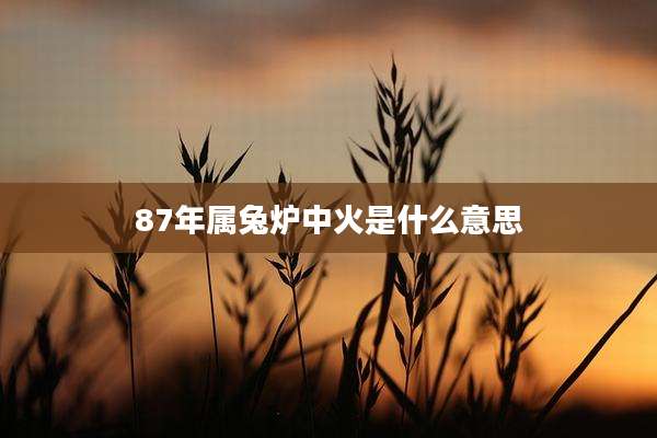 87年属兔炉中火是什么意思