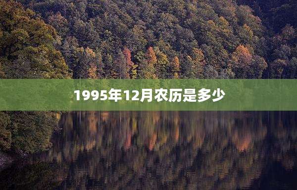1995年12月农历是多少