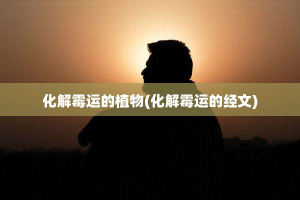 化解霉运的植物(化解霉运的经文)