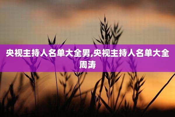 央视主持人名单大全男,央视主持人名单大全周涛