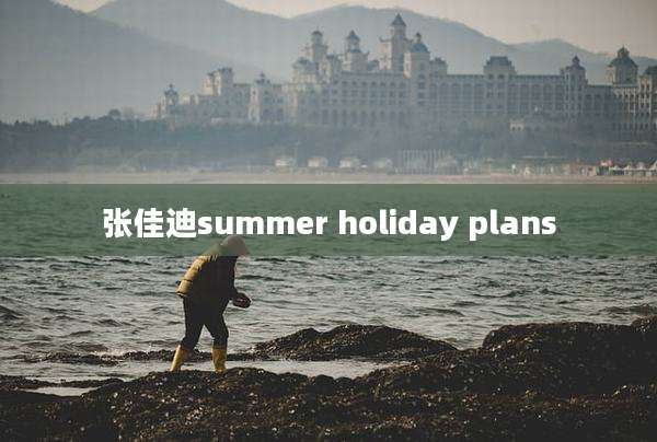 张佳迪summer holiday plans