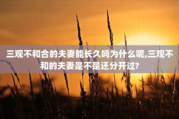 三观不和合的夫妻能长久吗为什么呢,三观不和的夫妻是不是还分开过?