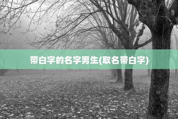 带白字的名字男生(取名带白字)