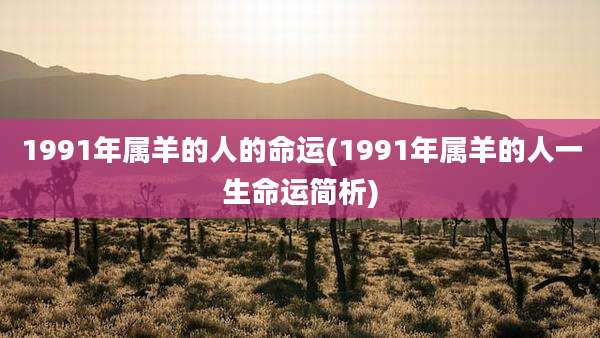 1991年属羊的人的命运(1991年属羊的人一生命运简析)