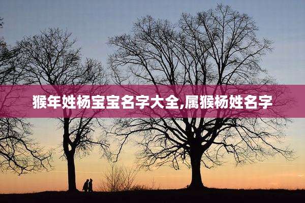 猴年姓杨宝宝名字大全,属猴杨姓名字