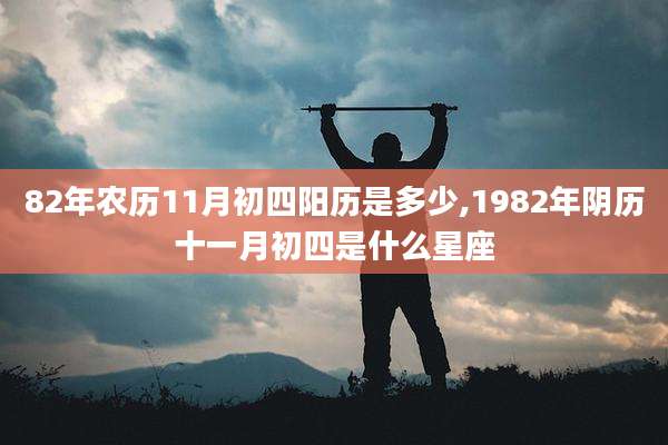 82年农历11月初四阳历是多少,1982年阴历十一月初四是什么星座