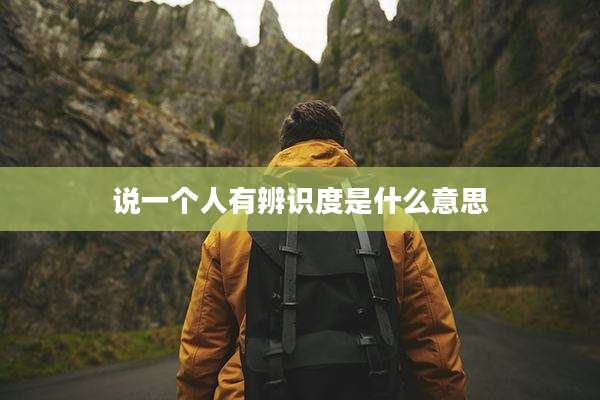 说一个人有辨识度是什么意思
