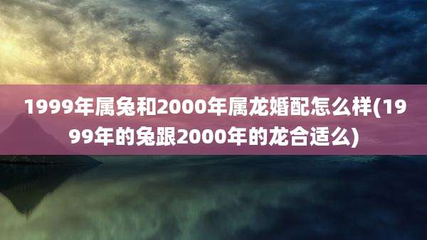 1999年属兔和2000年属龙婚配怎么样(1999年的兔跟2000年的龙合适么)